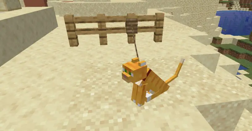 Cat on leash tied to a fence in Minecraft