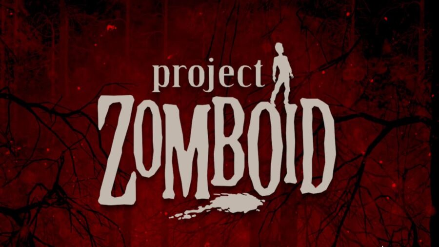 Datos de Project Zomboid
