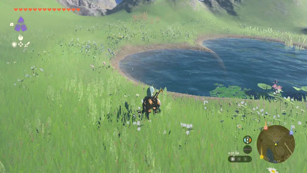 Qué hacer en Lover's Pond en Zelda Tears of the Kingdom (TOTK)
